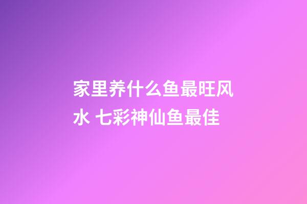 家里养什么鱼最旺风水 七彩神仙鱼最佳